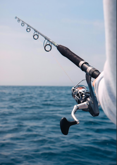 Billede af fiskestang