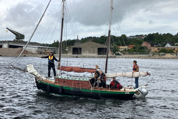 Mågen